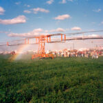 Riegohudig-064